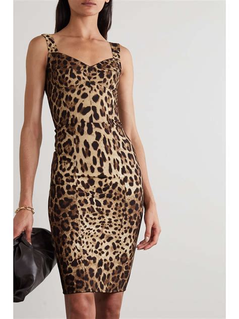 dolce gabbana leopard dress|dolce and gabbana leopard print.